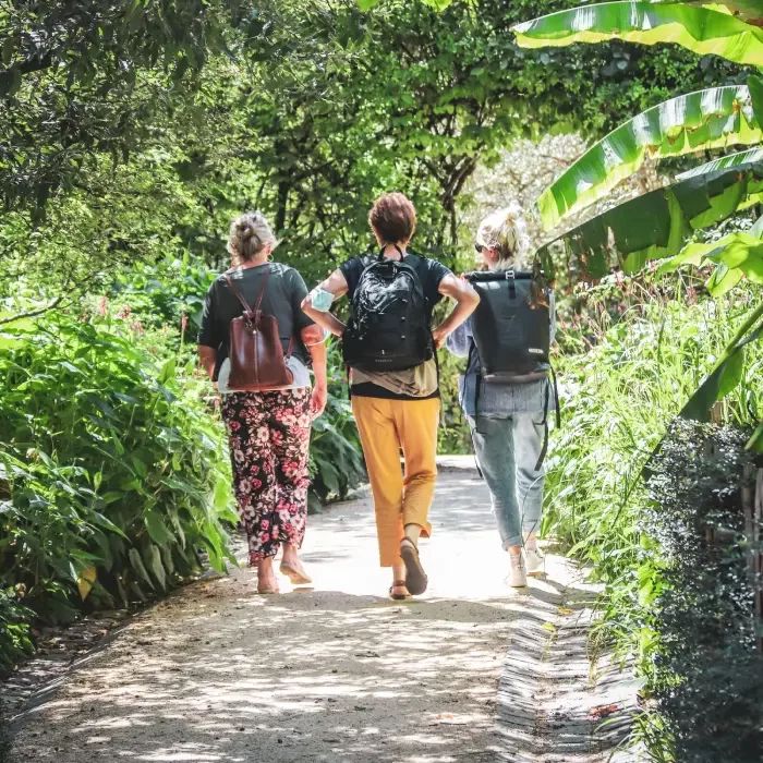 Séance de magnétisme cervicales et tendinite